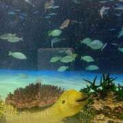 ヒメ日記 2026/02/25 09:24 投稿 めぐみ 池袋おかあさん