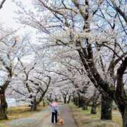 ヒメ日記 2026/03/01 11:14 投稿 めぐみ 池袋おかあさん