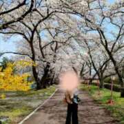 ヒメ日記 2026/03/03 17:14 投稿 めぐみ 池袋おかあさん