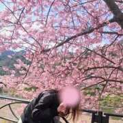 ヒメ日記 2026/03/04 20:17 投稿 めぐみ 池袋おかあさん