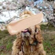 ヒメ日記 2026/03/05 19:48 投稿 めぐみ 池袋おかあさん