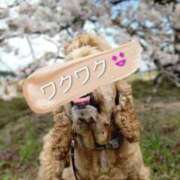 ヒメ日記 2026/03/06 18:04 投稿 めぐみ 池袋おかあさん