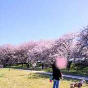 ヒメ日記 2026/03/07 10:12 投稿 めぐみ 池袋おかあさん