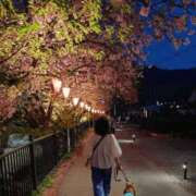 ヒメ日記 2026/03/08 19:24 投稿 めぐみ 池袋おかあさん