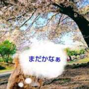 ヒメ日記 2026/03/09 20:25 投稿 めぐみ 池袋おかあさん