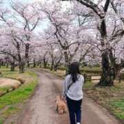 ヒメ日記 2026/03/11 21:44 投稿 めぐみ 池袋おかあさん