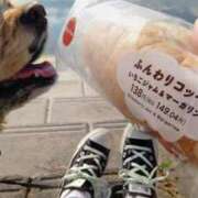 ヒメ日記 2026/03/16 15:54 投稿 めぐみ 池袋おかあさん