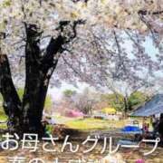 ヒメ日記 2026/03/17 12:04 投稿 めぐみ 池袋おかあさん