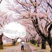 ヒメ日記 2026/03/18 13:24 投稿 めぐみ 池袋おかあさん