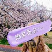 ヒメ日記 2026/03/20 10:04 投稿 めぐみ 池袋おかあさん