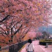 ヒメ日記 2026/03/26 22:34 投稿 めぐみ 池袋おかあさん