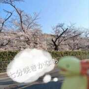 ヒメ日記 2026/03/29 10:14 投稿 めぐみ 池袋おかあさん