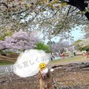 めぐみ おはようございます😊 池袋おかあさん