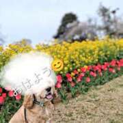 ヒメ日記 2026/04/09 10:21 投稿 めぐみ 池袋おかあさん