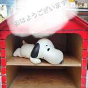 ヒメ日記 2026/04/11 11:04 投稿 めぐみ 池袋おかあさん