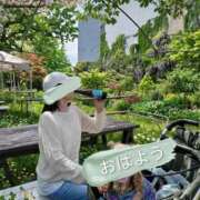 ヒメ日記 2026/04/17 08:37 投稿 めぐみ 池袋おかあさん