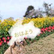 ヒメ日記 2026/04/26 10:24 投稿 めぐみ 池袋おかあさん