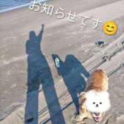 ヒメ日記 2026/05/11 18:14 投稿 めぐみ 池袋おかあさん