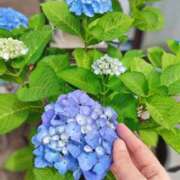 ヒメ日記 2026/05/31 10:14 投稿 めぐみ 池袋おかあさん