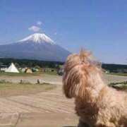 ヒメ日記 2026/06/23 08:14 投稿 めぐみ 池袋おかあさん