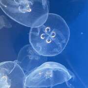 ヒメ日記 2025/09/19 15:36 投稿 てん【梅田堂山女学院】 梅田堂山女学院