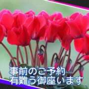 ヒメ日記 2025/11/22 05:14 投稿 大林亜希子 五十路マダム 愛されたい熟女たち 高松店