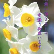 ヒメ日記 2025/12/28 23:54 投稿 大林亜希子 五十路マダム 愛されたい熟女たち 高松店