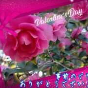 ヒメ日記 2026/01/31 22:40 投稿 大林亜希子 五十路マダム 愛されたい熟女たち 高松店