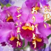 ヒメ日記 2026/02/05 17:28 投稿 大林亜希子 五十路マダム 愛されたい熟女たち 高松店