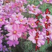 ヒメ日記 2026/10/03 16:12 投稿 大林亜希子 五十路マダム 愛されたい熟女たち 高松店