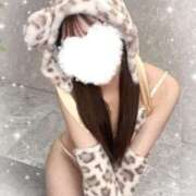 ヒメ日記 2026/02/14 18:42 投稿 夏音あすみ 渋谷ミルク