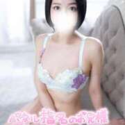 ヒメ日記 2025/08/13 09:01 投稿 琥珀-Kohaku- 姉新地