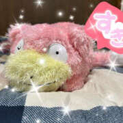 ヒメ日記 2025/11/14 11:00 投稿 しほ TSUBAKI（水戸）