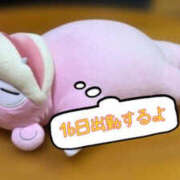 ヒメ日記 2025/11/15 11:00 投稿 しほ TSUBAKI（水戸）