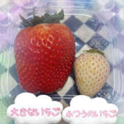 ヒメ日記 2026/01/25 20:26 投稿 しほ TSUBAKI（水戸）