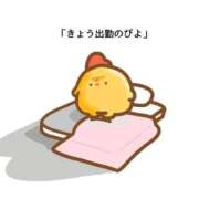 ヒメ日記 2026/01/30 11:00 投稿 しほ TSUBAKI（水戸）