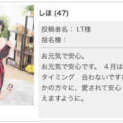 ヒメ日記 2026/03/20 11:56 投稿 しほ TSUBAKI（水戸）