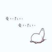 ヒメ日記 2026/03/23 11:00 投稿 しほ TSUBAKI（水戸）