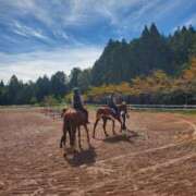 ヒメ日記 2025/10/08 21:52 投稿 月城 真波 MADAM RENA 名古屋