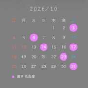 ヒメ日記 2026/10/08 18:10 投稿 月城 真波 MADAM RENA 名古屋