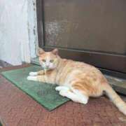 ヒメ日記 2025/08/15 16:52 投稿 高月セリーヌ ゴールドクイーン