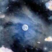 はすみ 今週も 奥様特急新潟店