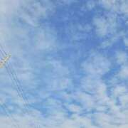 ヒメ日記 2025/12/17 12:27 投稿 はすみ 奥様特急新潟店