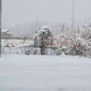 ヒメ日記 2026/01/02 14:33 投稿 はすみ 奥様特急三条店