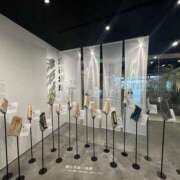 ヒメ日記 2026/03/06 21:03 投稿 山村さち パレット(熊本)