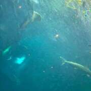 ヒメ日記 2025/08/08 10:52 投稿 あおい 錦センター