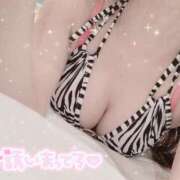 ヒメ日記 2025/09/25 13:54 投稿 ひより カクテル(岡山)