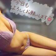 ヒメ日記 2026/02/21 12:07 投稿 みなみ 池袋千姫