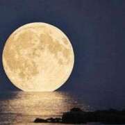 ヒメ日記 2025/12/14 07:03 投稿 新人　あいり 福井人妻城