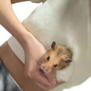 ヒメ日記 2025/08/24 19:52 投稿 かりん マリン千葉店